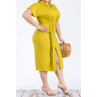 Limited Button-down Shirt Dress